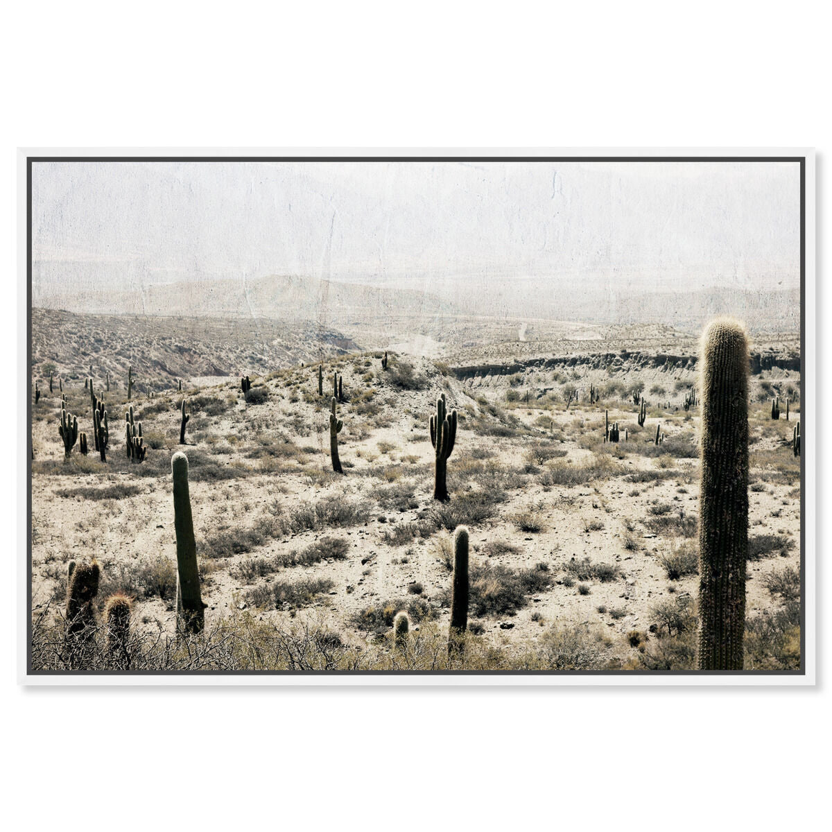 54x36/Framed Canvas/WFL