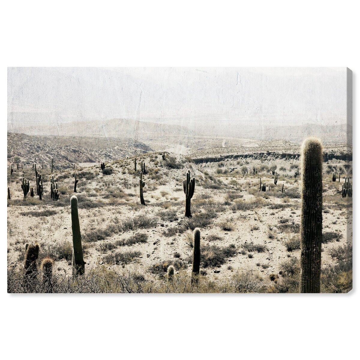 54x36/Canvas/XHD