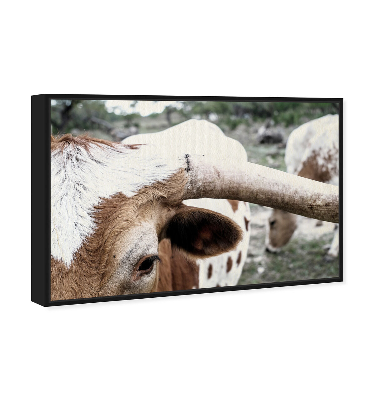 54x36/Framed Canvas/BFL