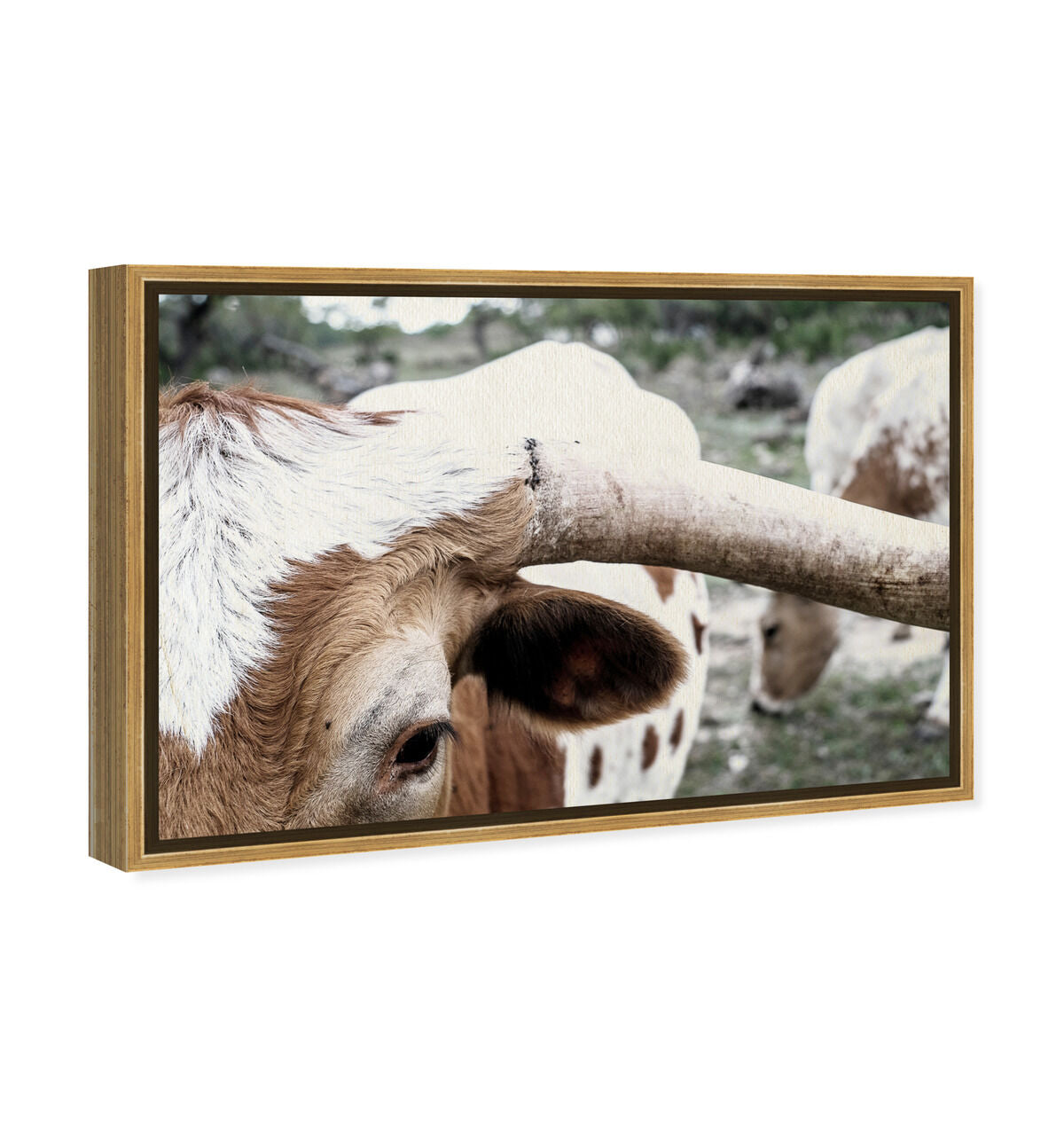 54x36/Framed Canvas/PSGLD