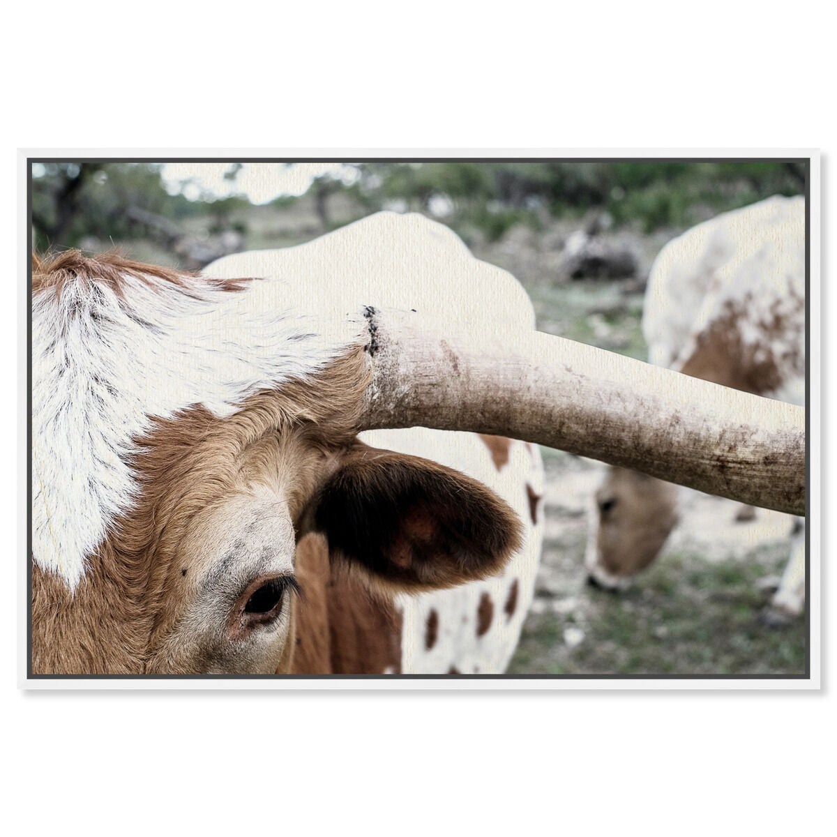 54x36/Framed Canvas/WFL
