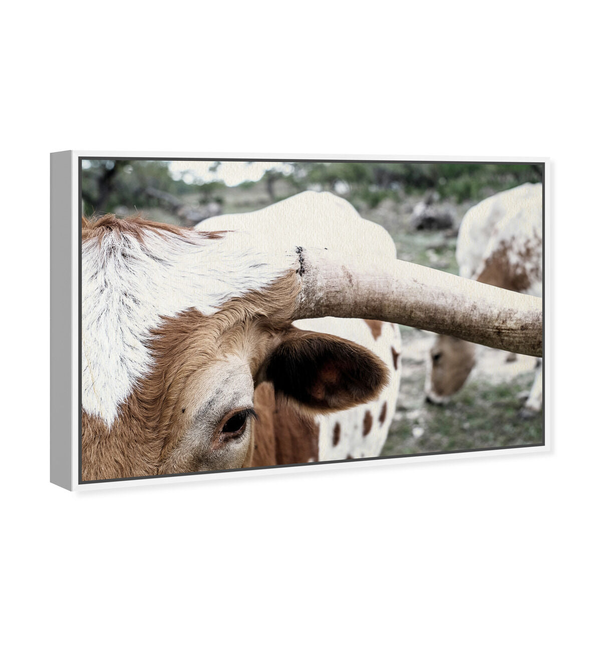 54x36/Framed Canvas/WFL