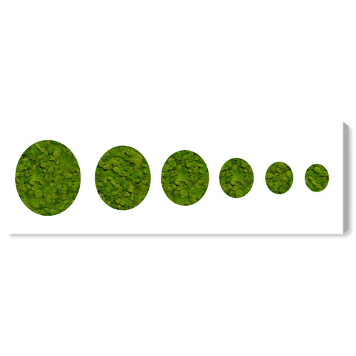 Moss Circles