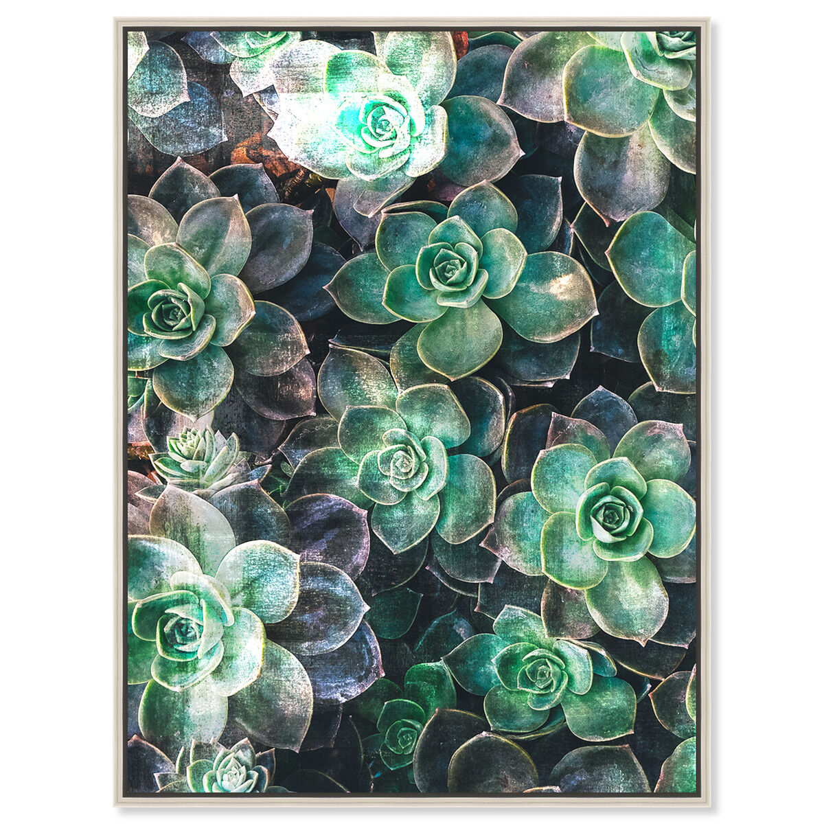 36x54/Framed Canvas/CFL