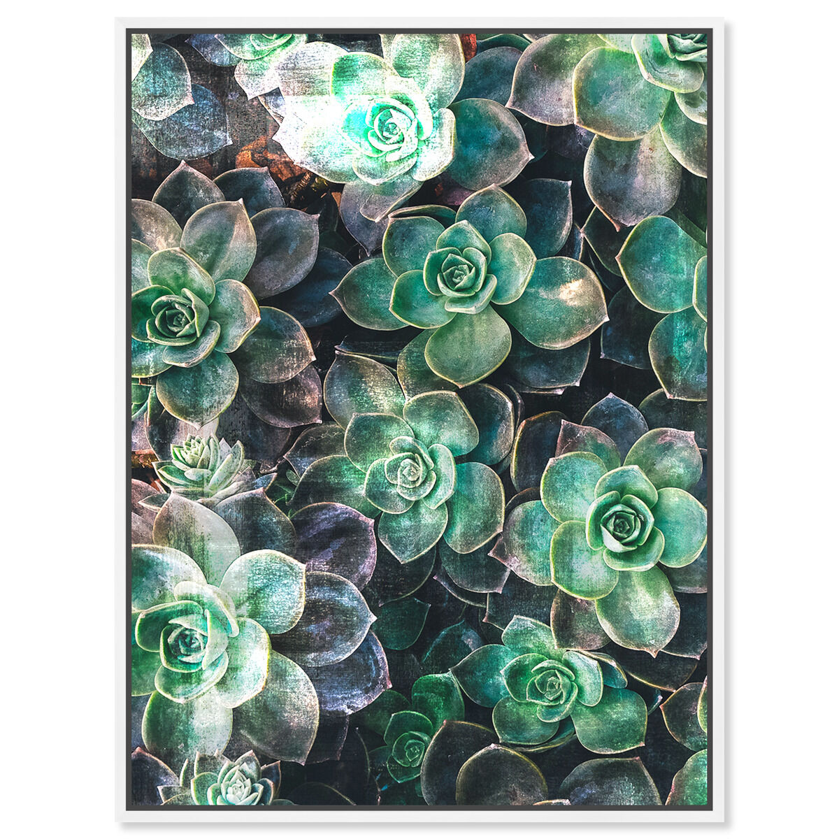 36x54/Framed Canvas/WFL