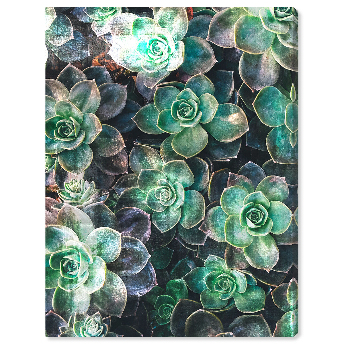 36x54/Canvas/XHD