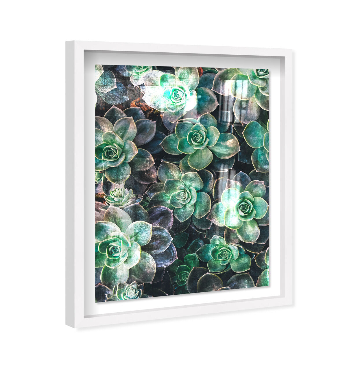 36x54/Shadowbox/SBW