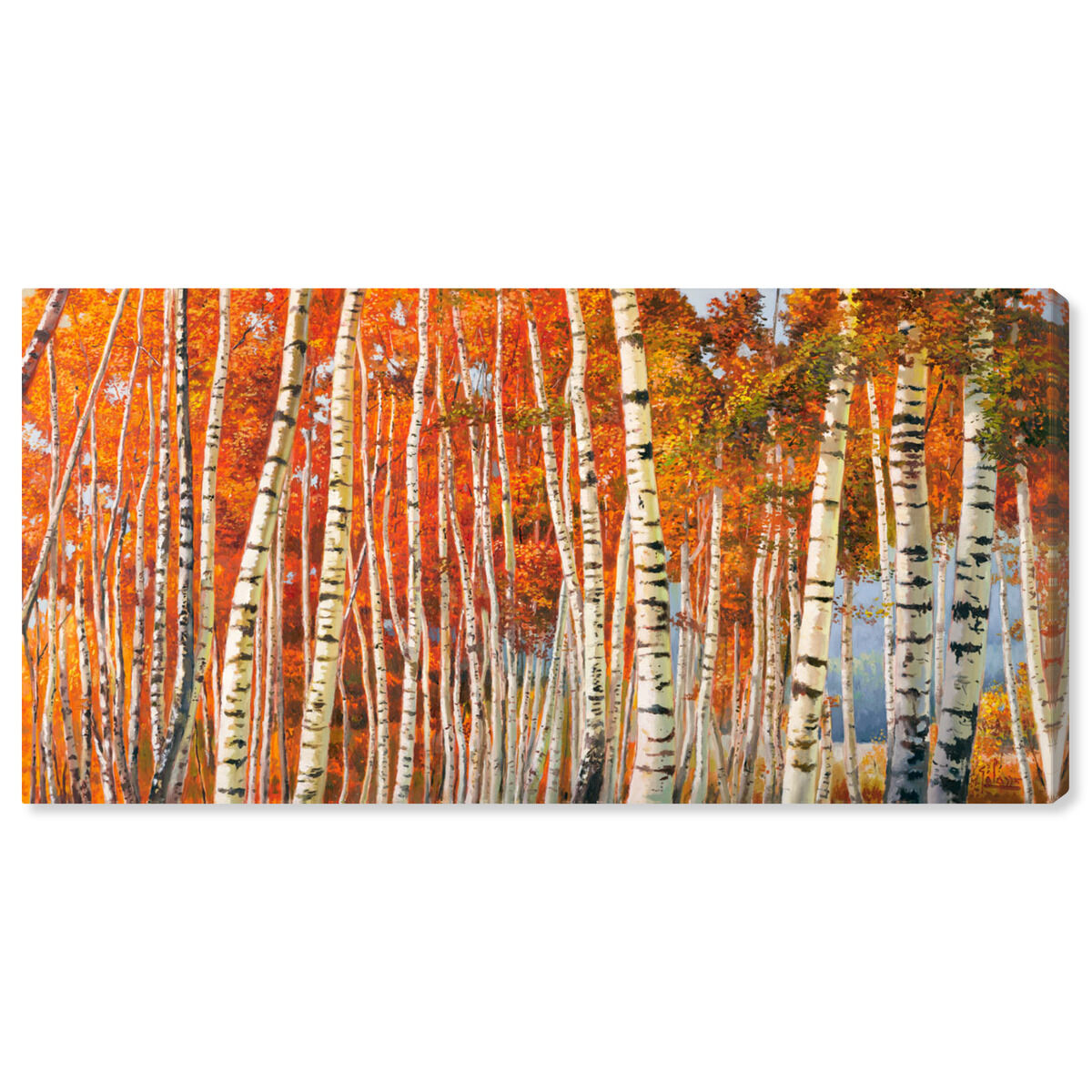 36x16/Canvas/XHD