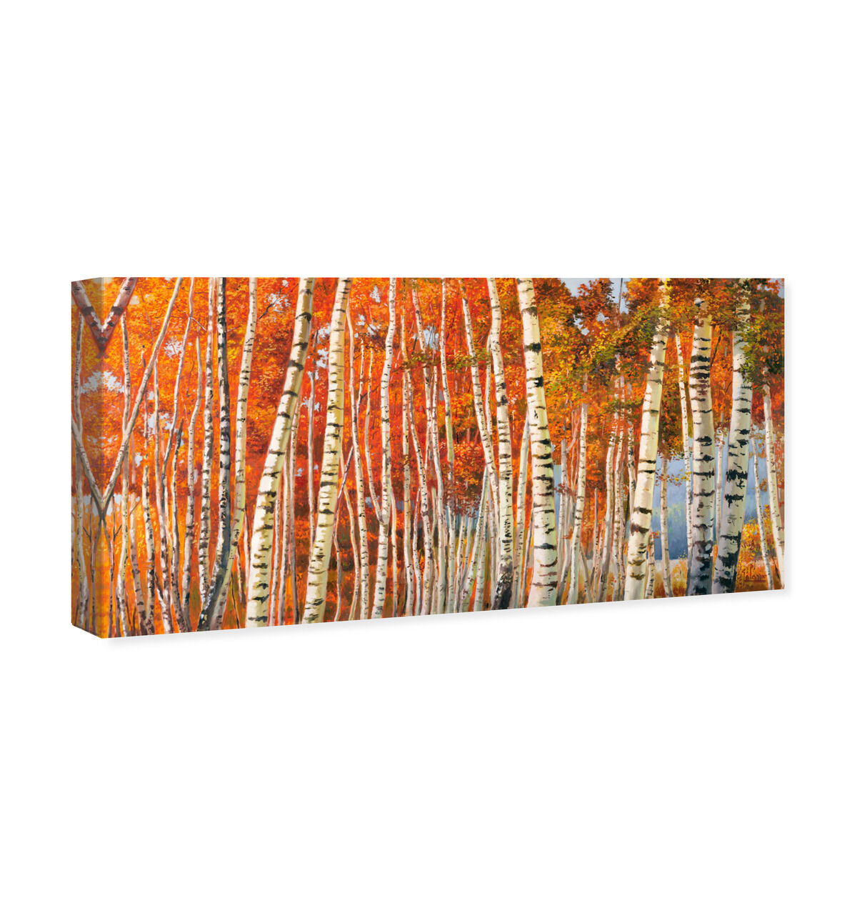 36x16/Canvas/XHD