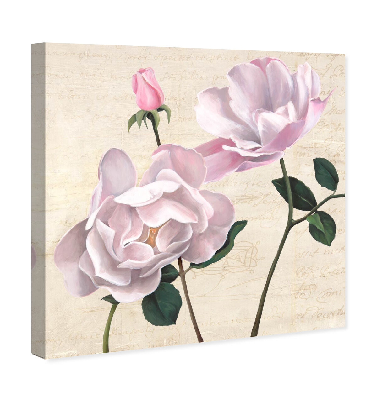 40x40/Canvas/XHD