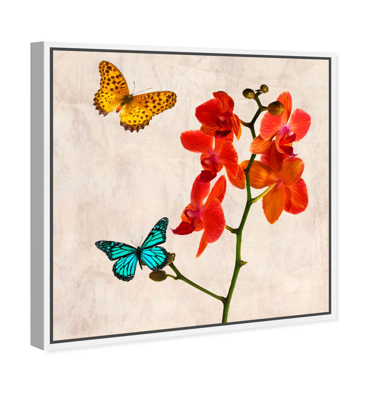 40x40/Framed Canvas/WFL
