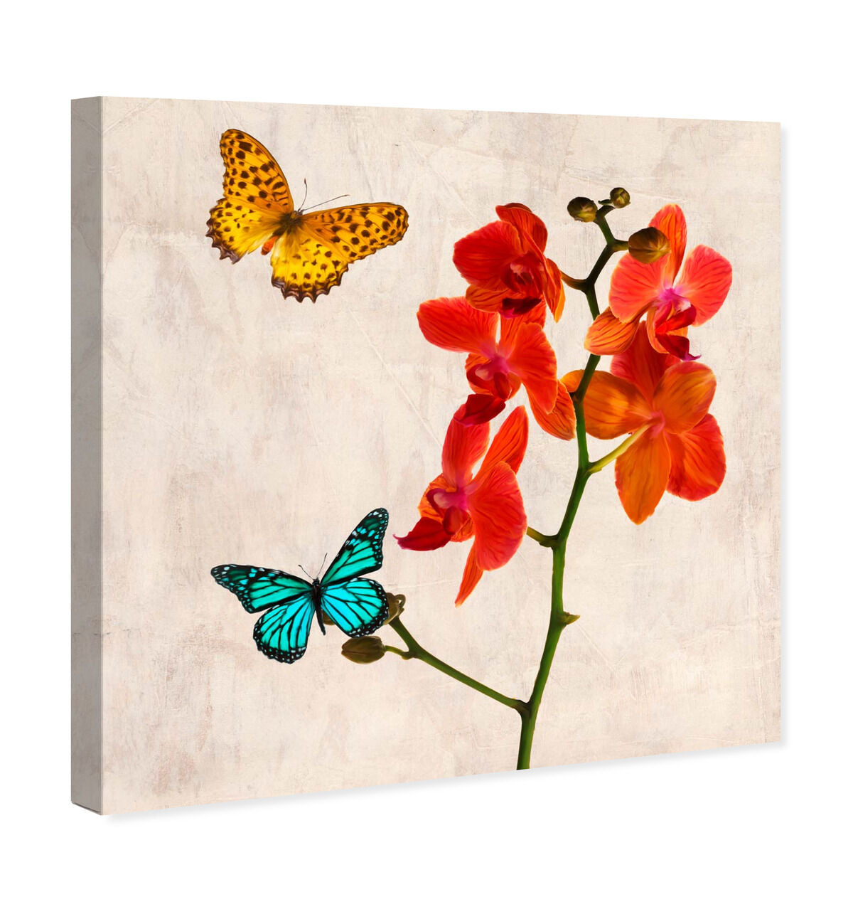 40x40/Canvas/XHD