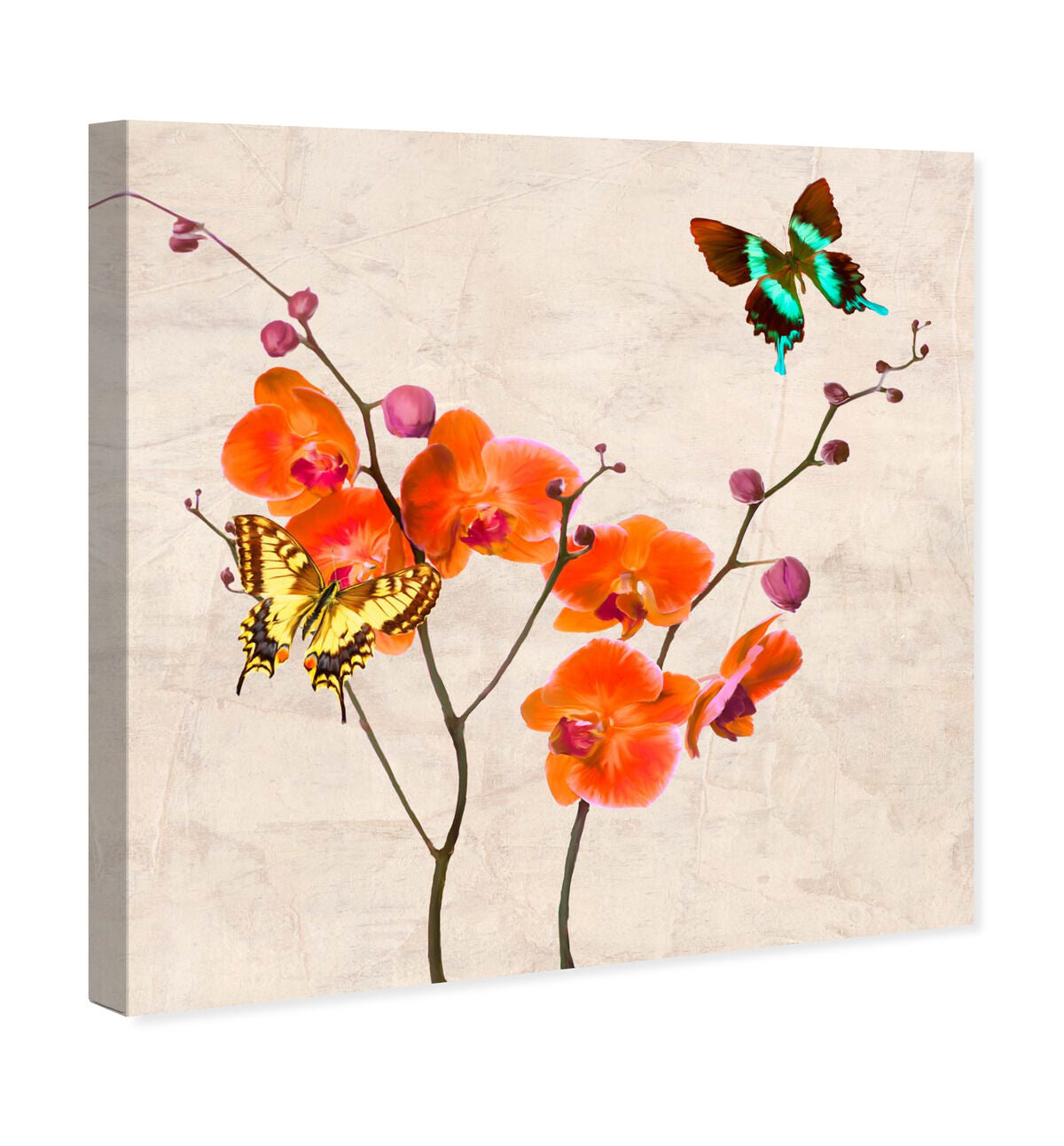 40x40/Canvas/XHD