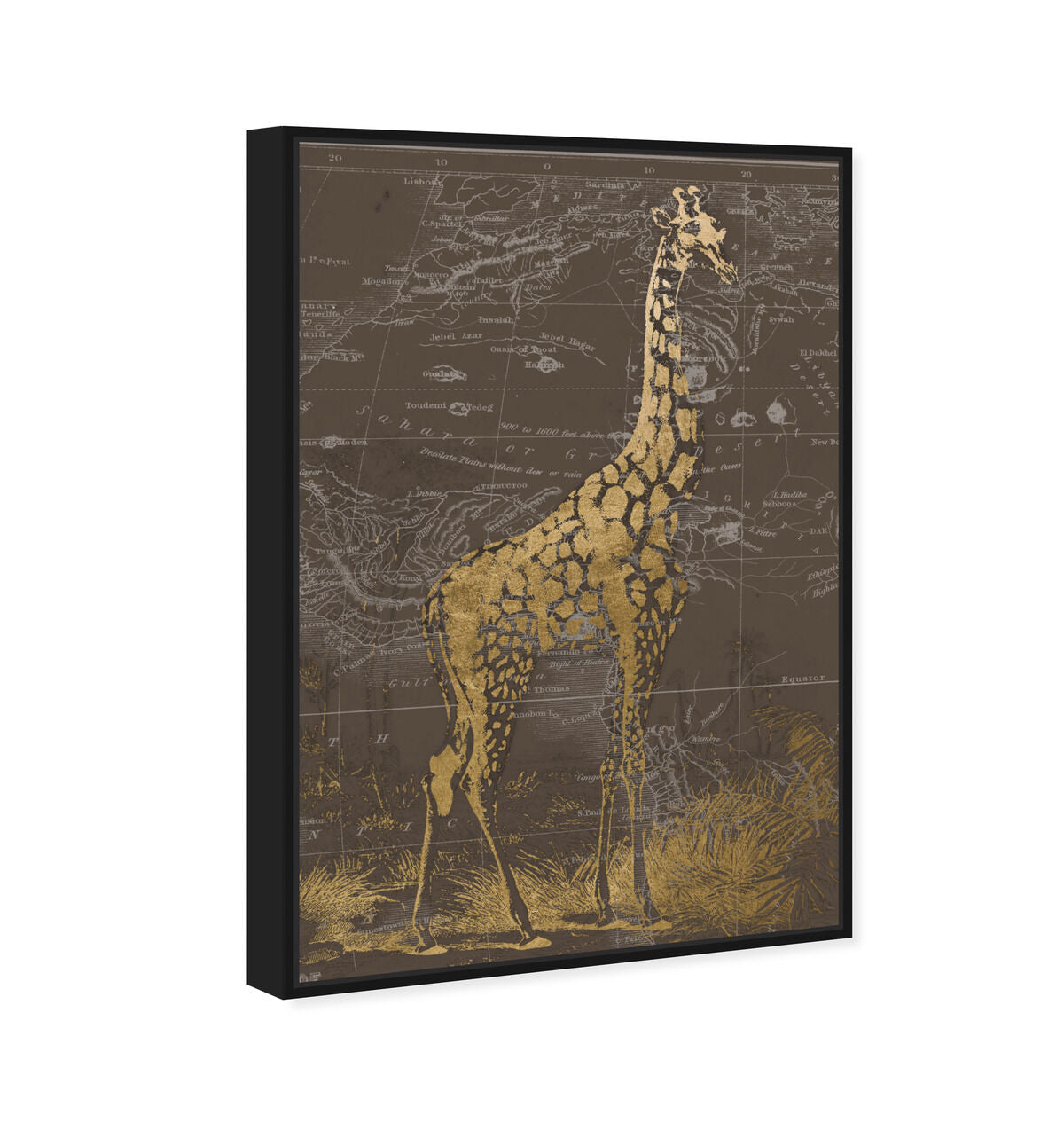 36x54/Framed Canvas/BFL