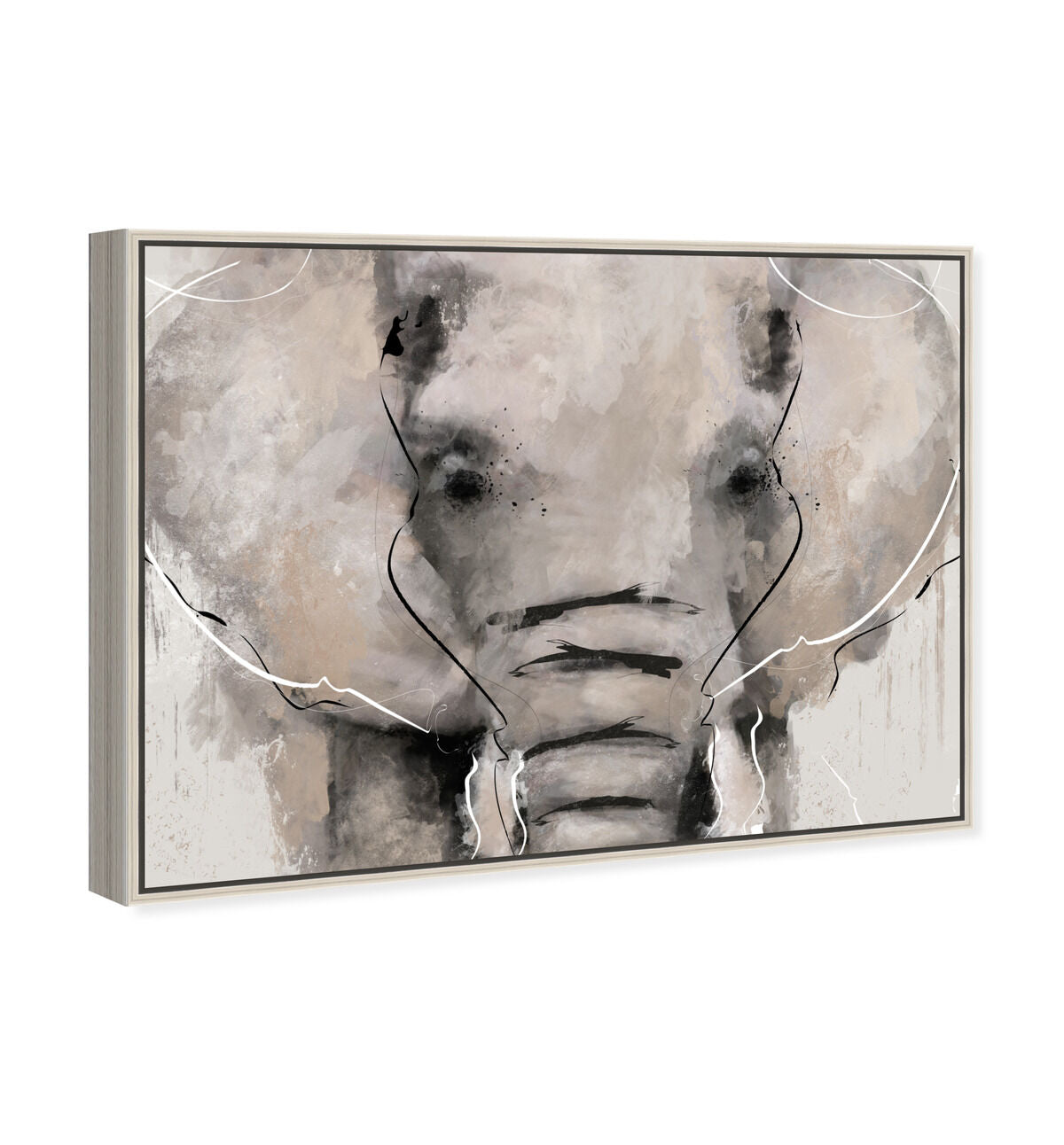 54x36/Canvas/CFL