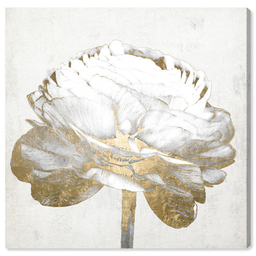 Premium Botanical & Floral Wall Art | Oliver Gal