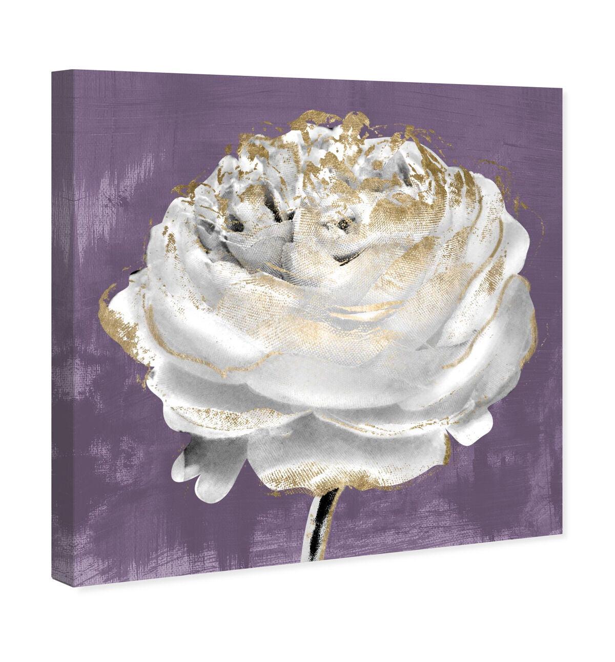 40x40/Canvas/XHD