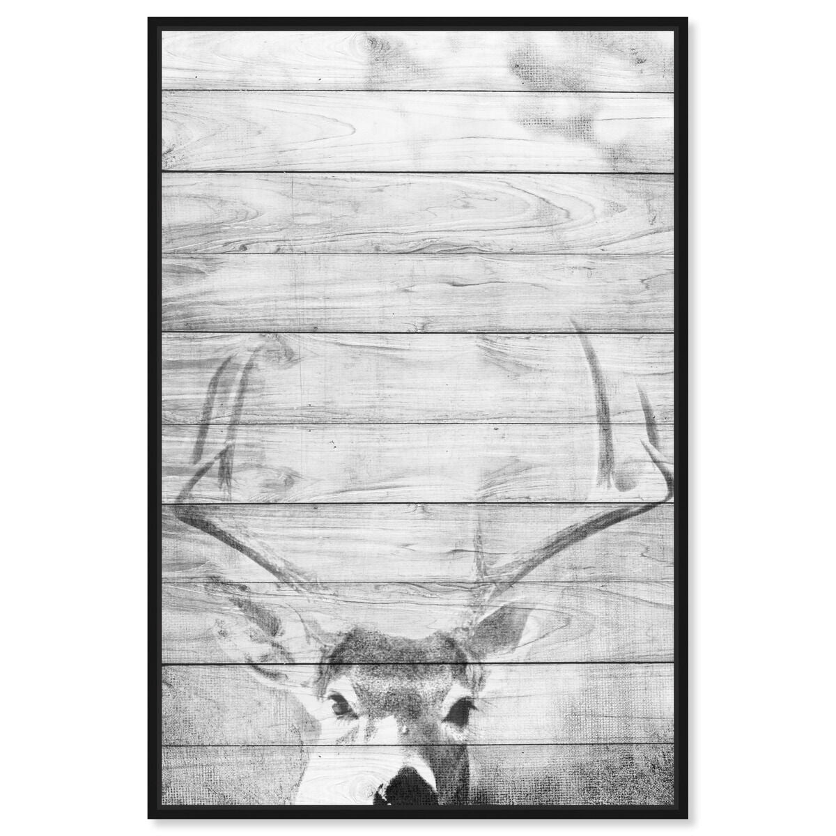 36x54/Framed Canvas/BFL