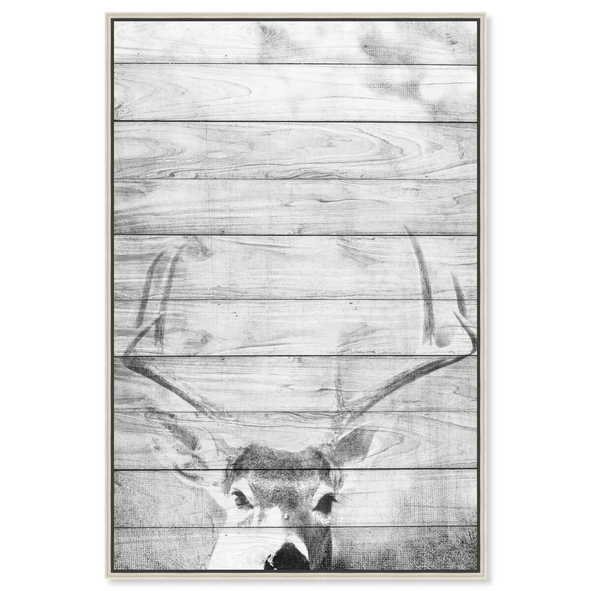 36x54/Framed Canvas/CFL