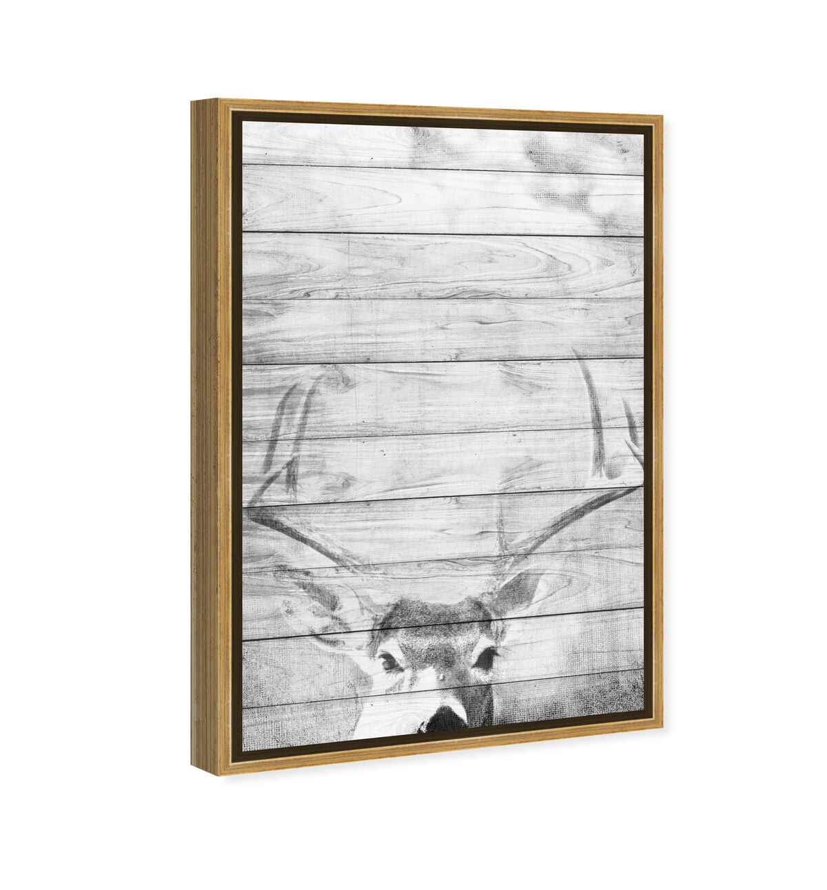 36x54/Framed Canvas/PSGLD