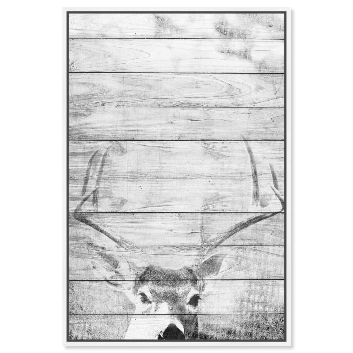 36x54/Framed Canvas/WFL