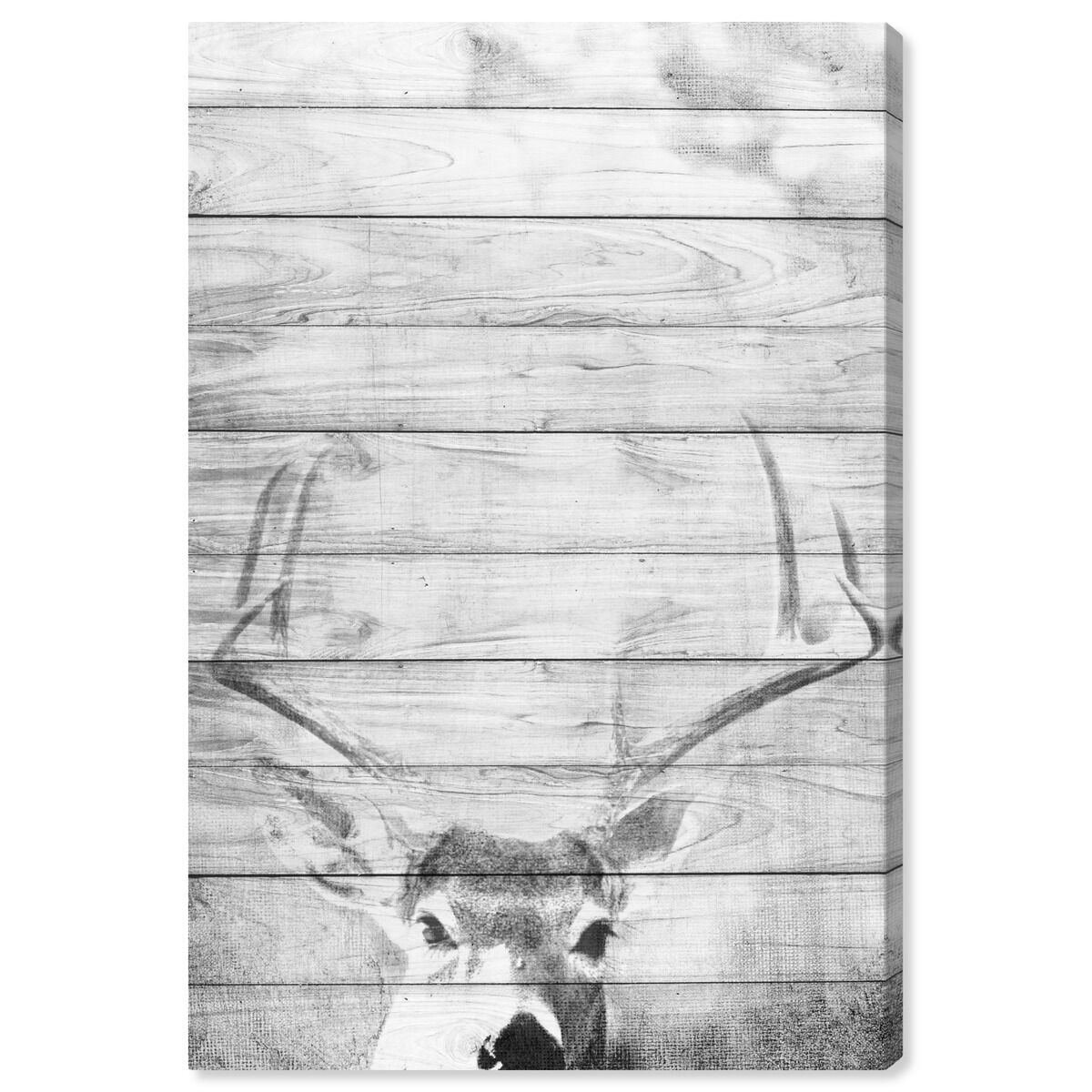 36x54/Canvas/XHD