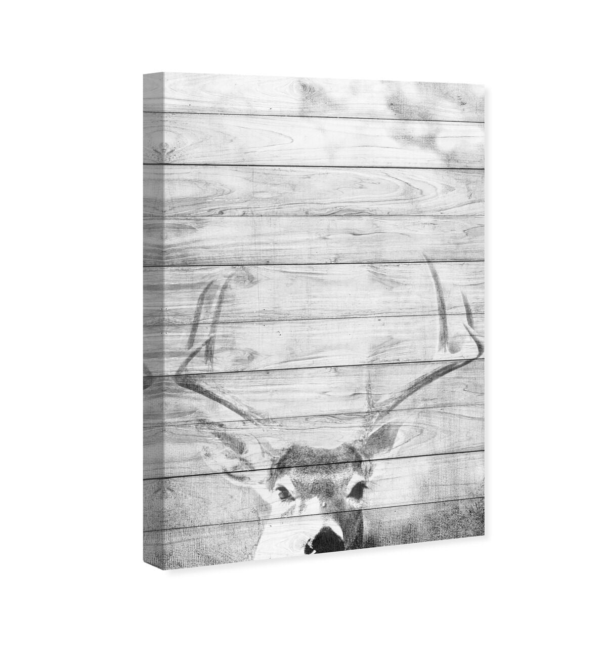 36x54/Canvas/XHD