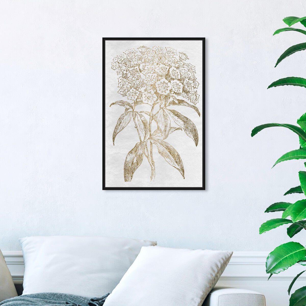 36x54/Framed Canvas/BFL
