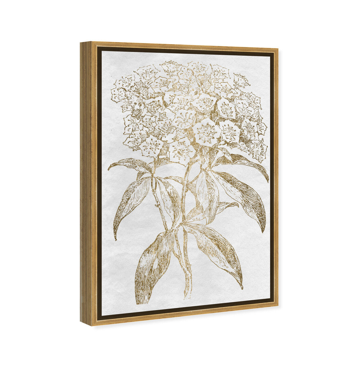36x54/Framed Canvas/PSGLD