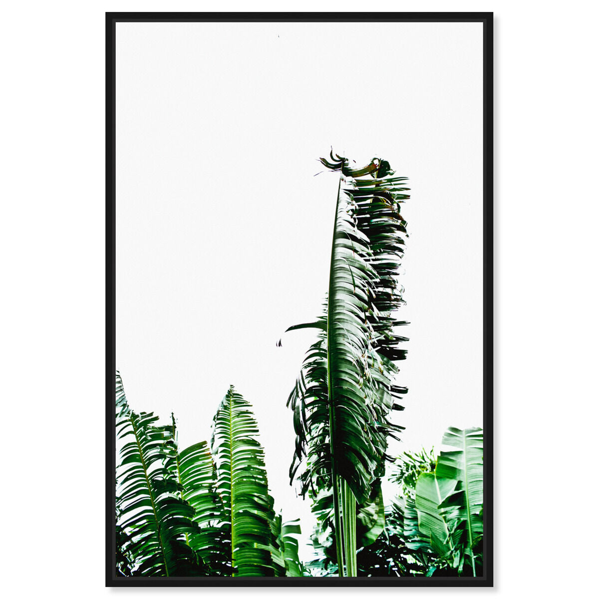 36x54/Framed Canvas/BFL