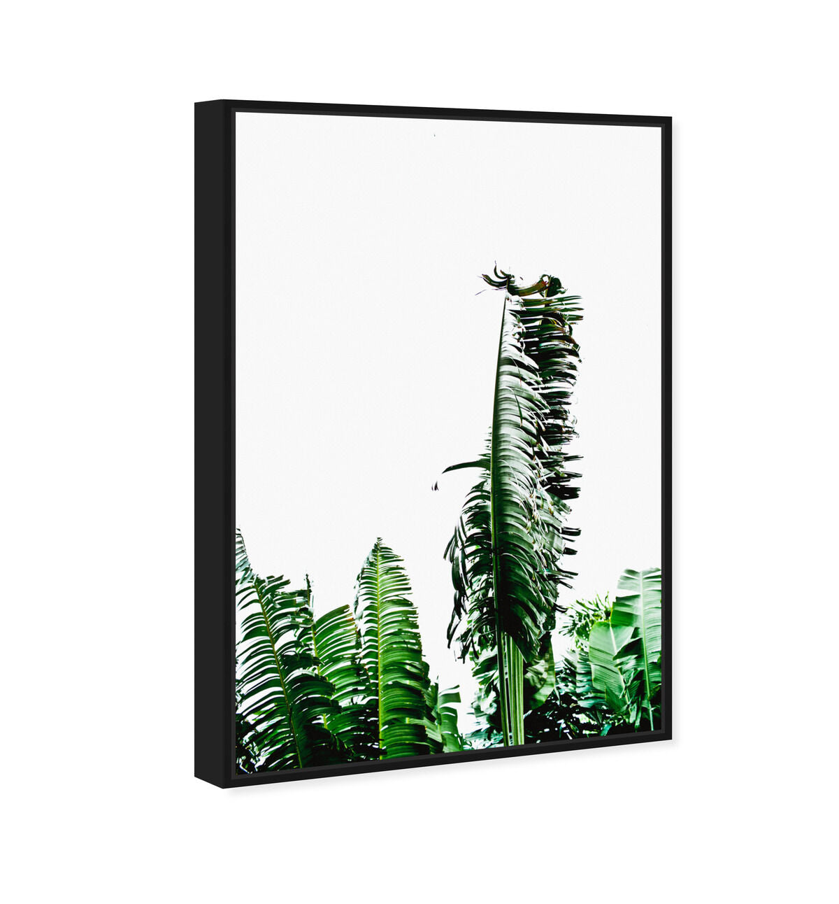 36x54/Framed Canvas/BFL