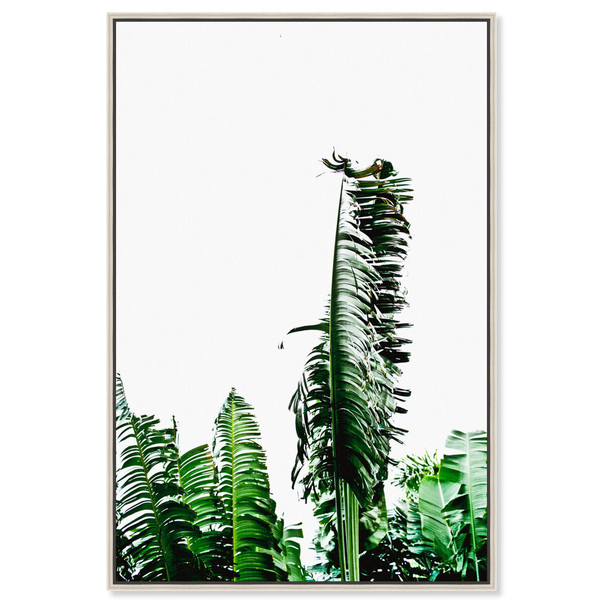 36x54/Framed Canvas/CFL
