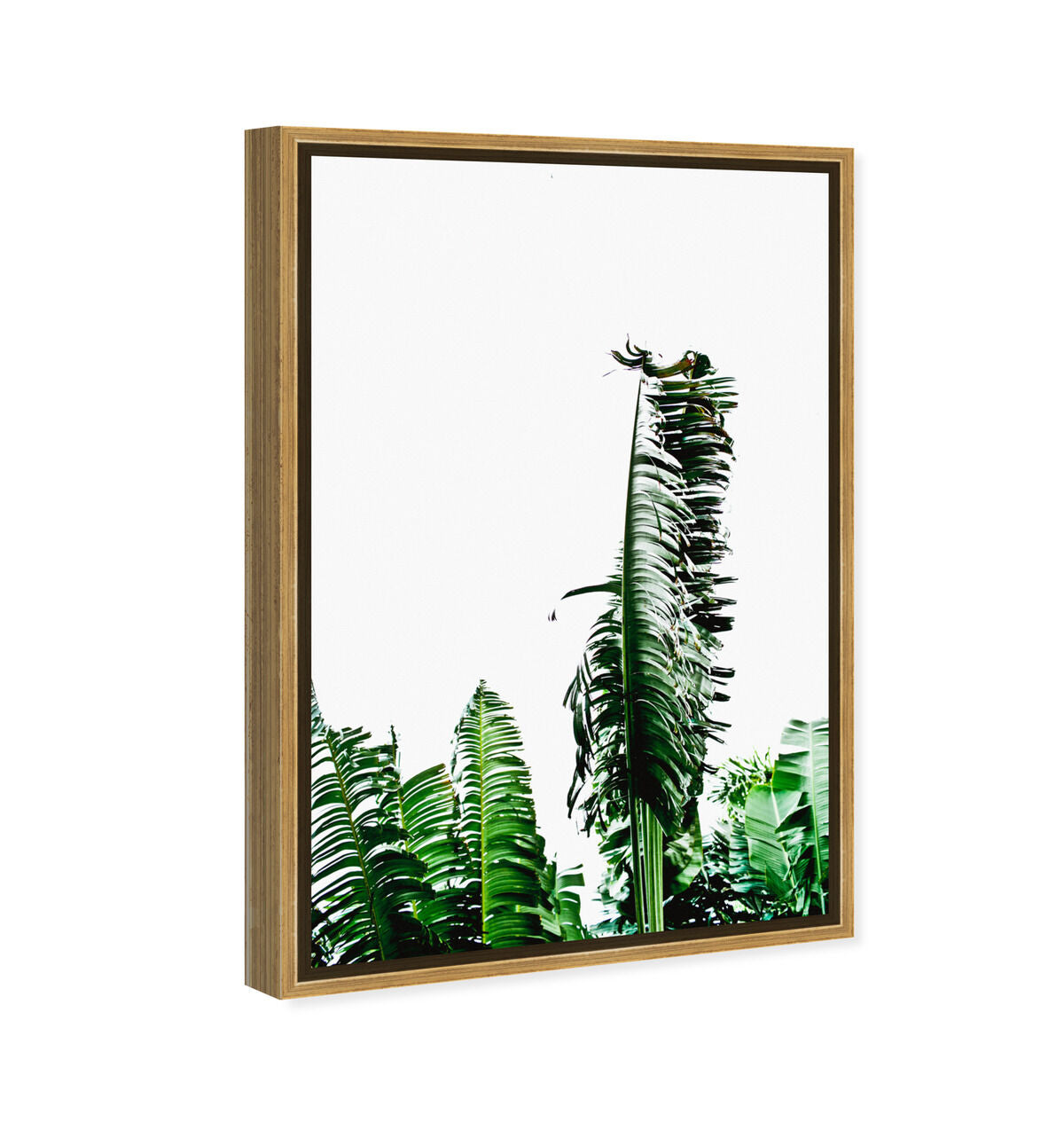 36x54/Framed Canvas/PSGLD