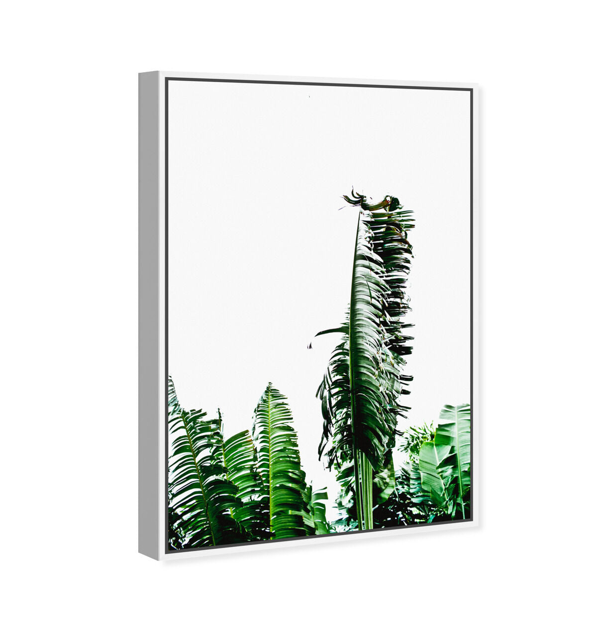 36x54/Framed Canvas/WFL