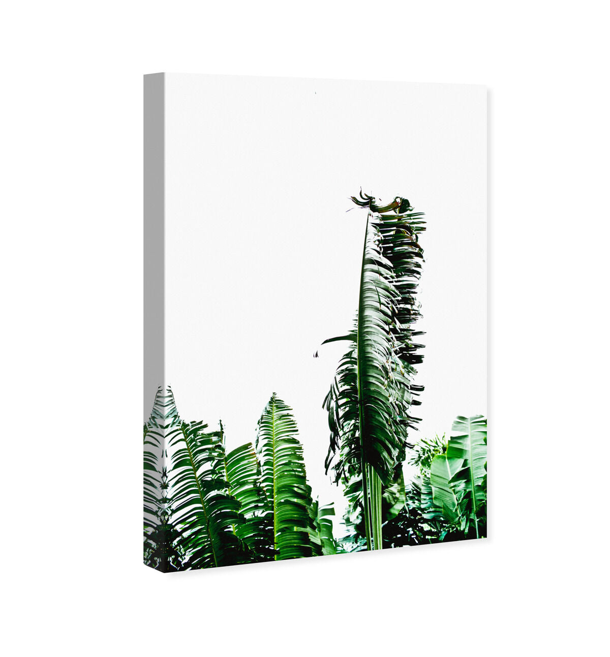 36x54/Canvas/XHD