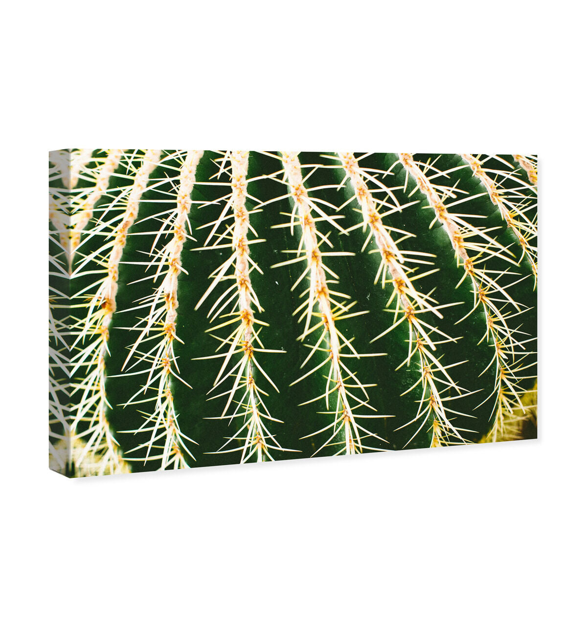 54x36/Canvas/XHD