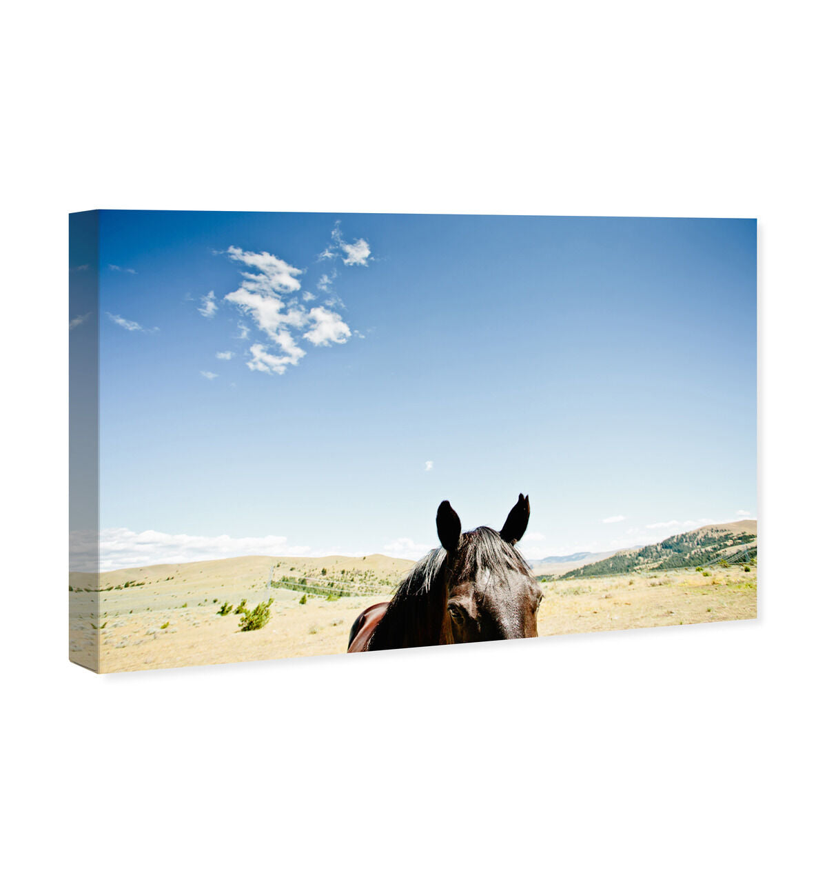 54x36/Canvas/XHD