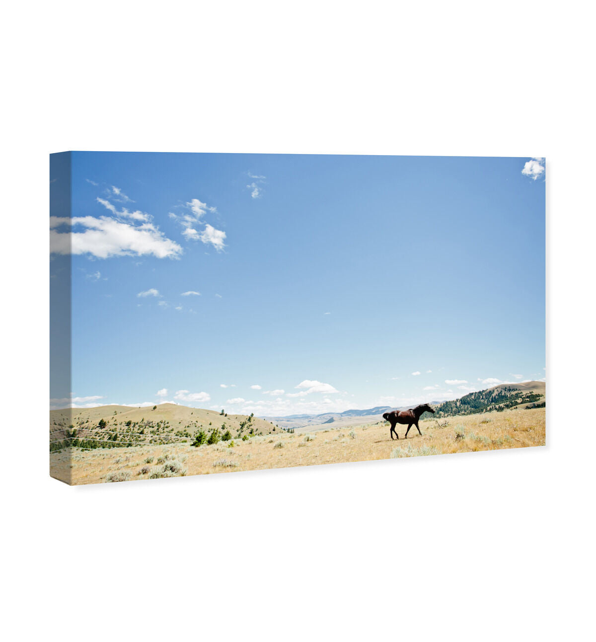 54x36/Canvas/XHD