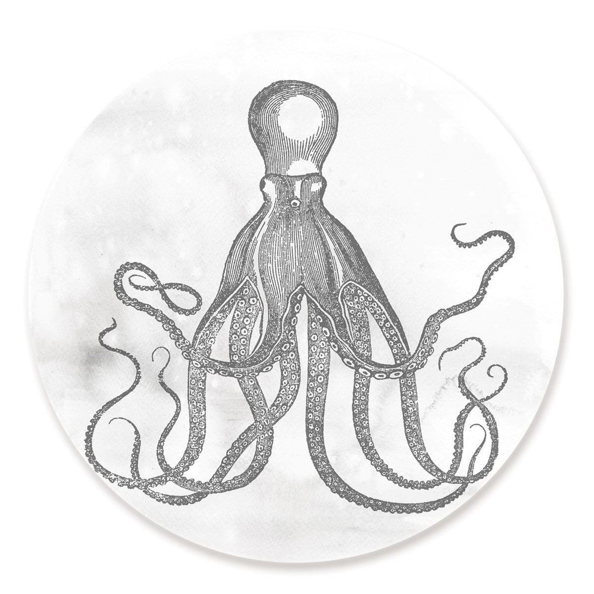 Octopus Circle