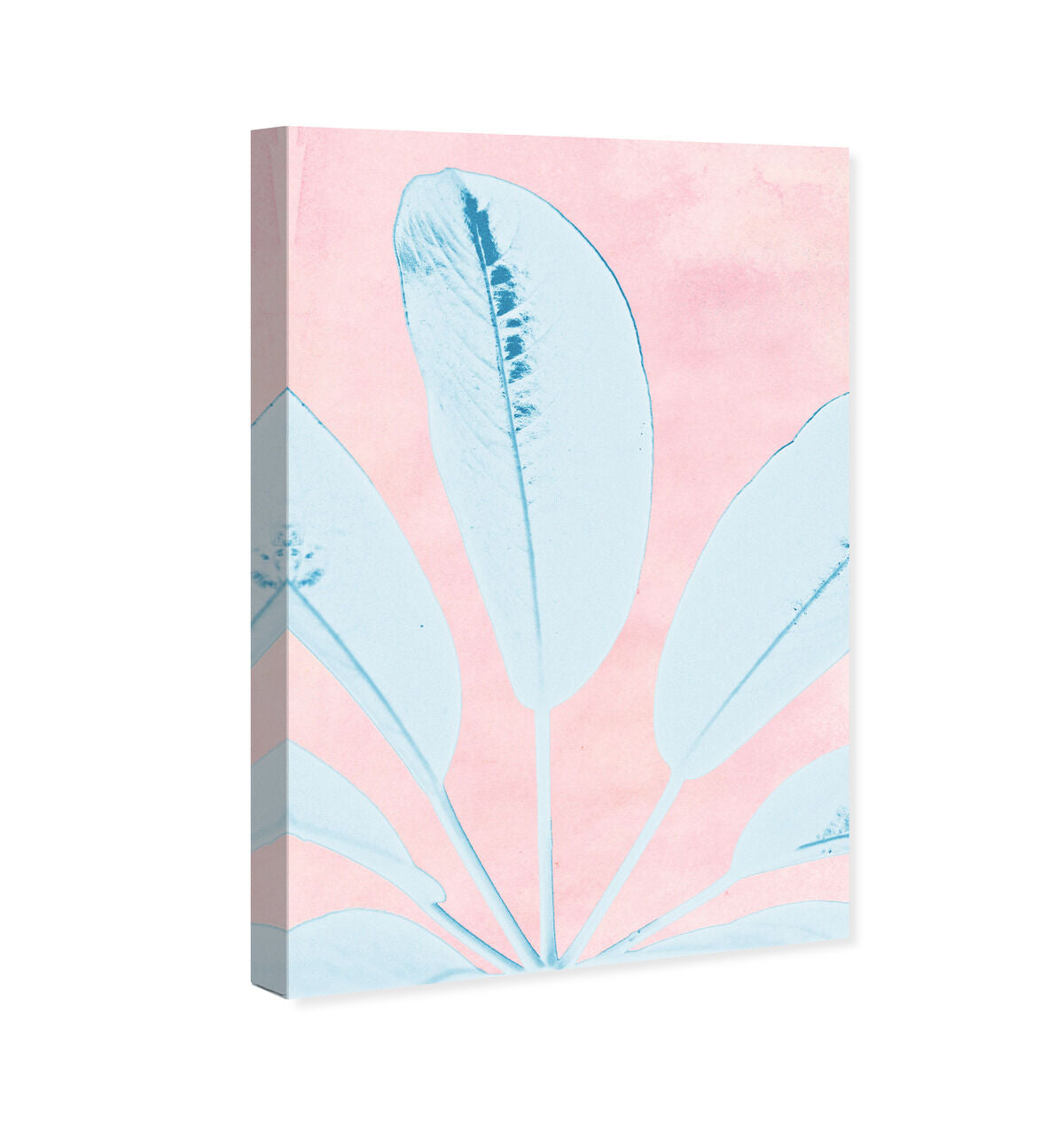 36x54/Canvas/XHD