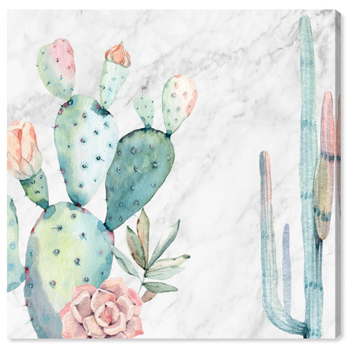 Marble and Succulents