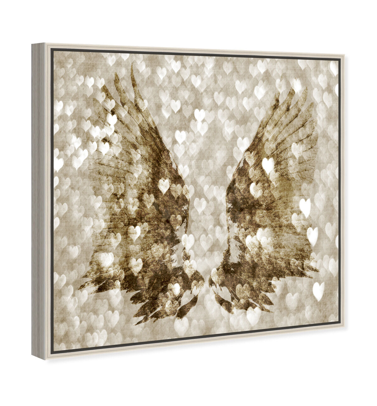 40x40/Canvas/CFL