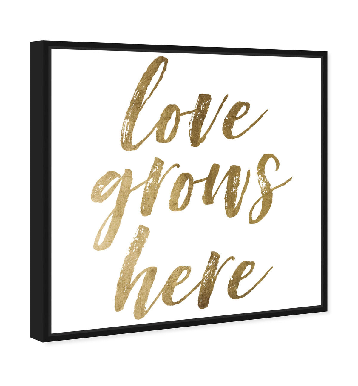 40x40/Framed Canvas/BFL