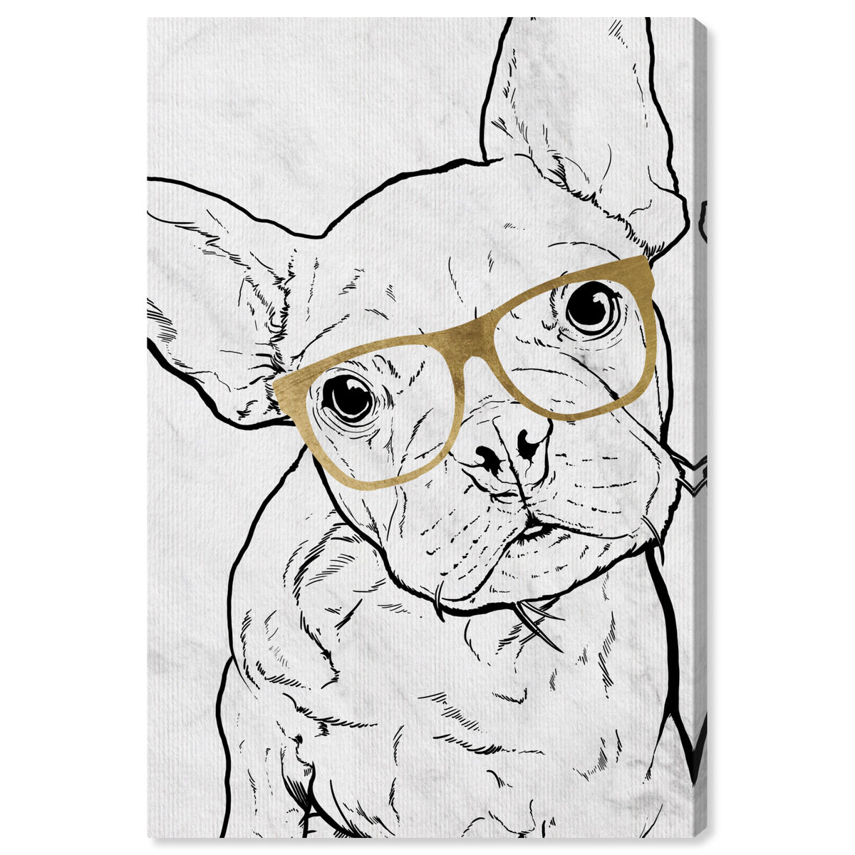 Frenchie with Gold Glasses | Animals Wall Art by Oliver Gal