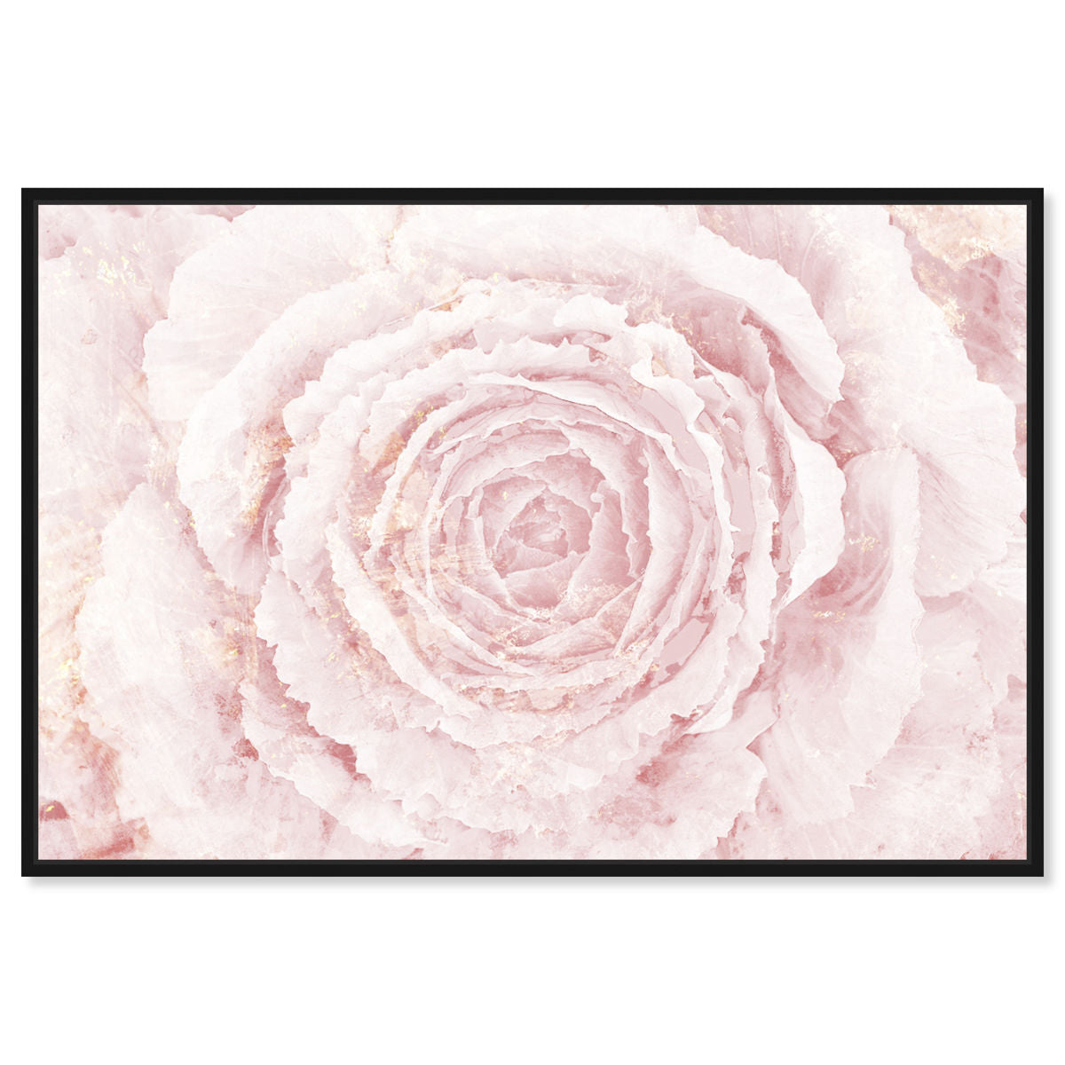 54x36/Canvas/BFL