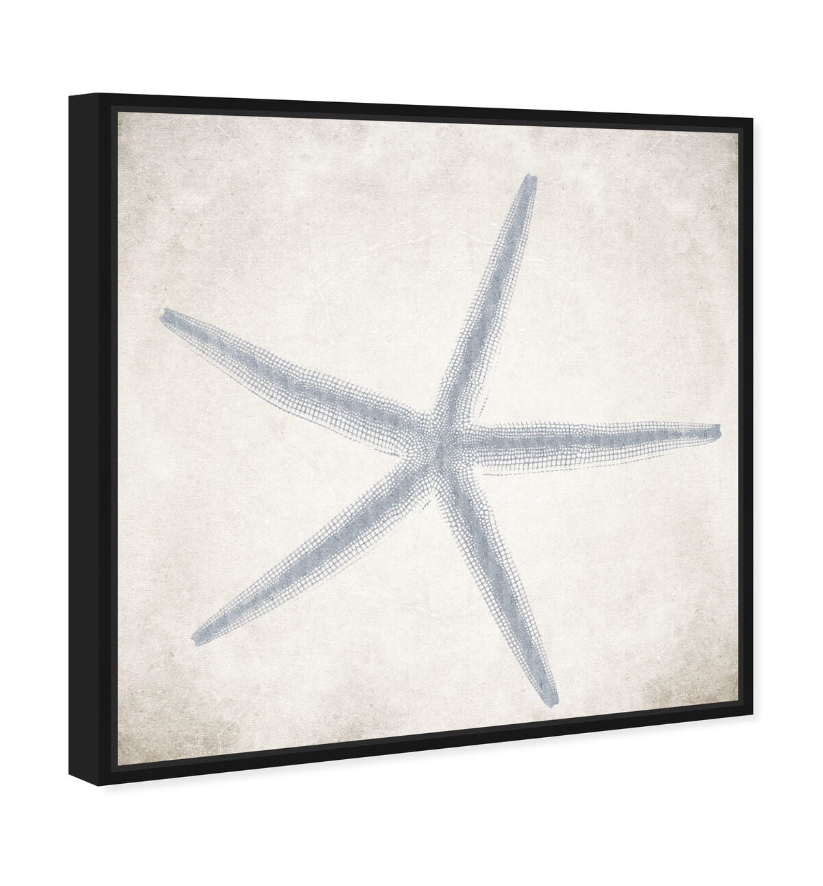 40x40/Framed Canvas/BFL