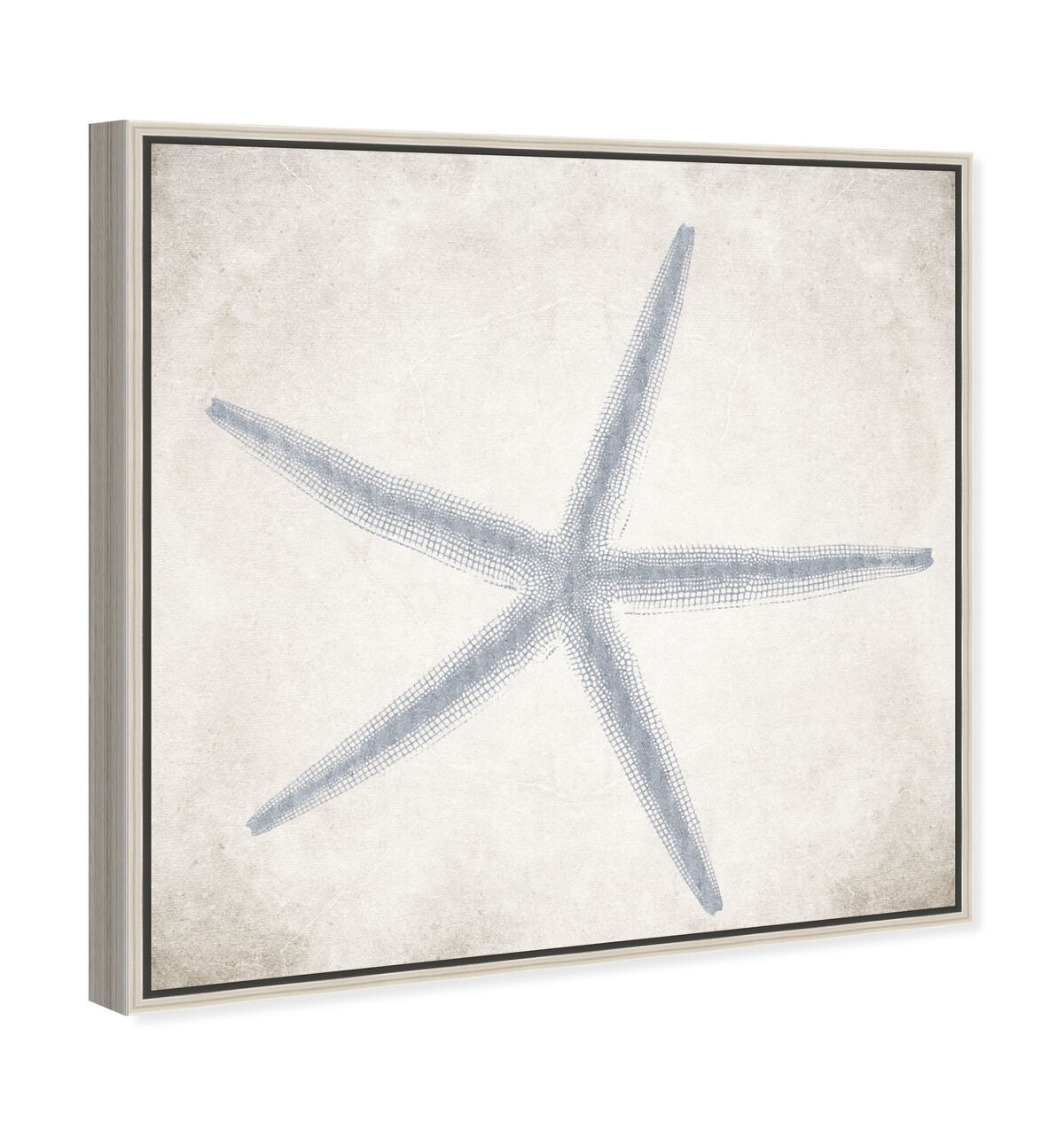40x40/Framed Canvas/CFL