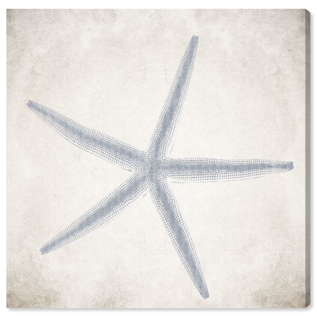 40x40/Canvas/XHD