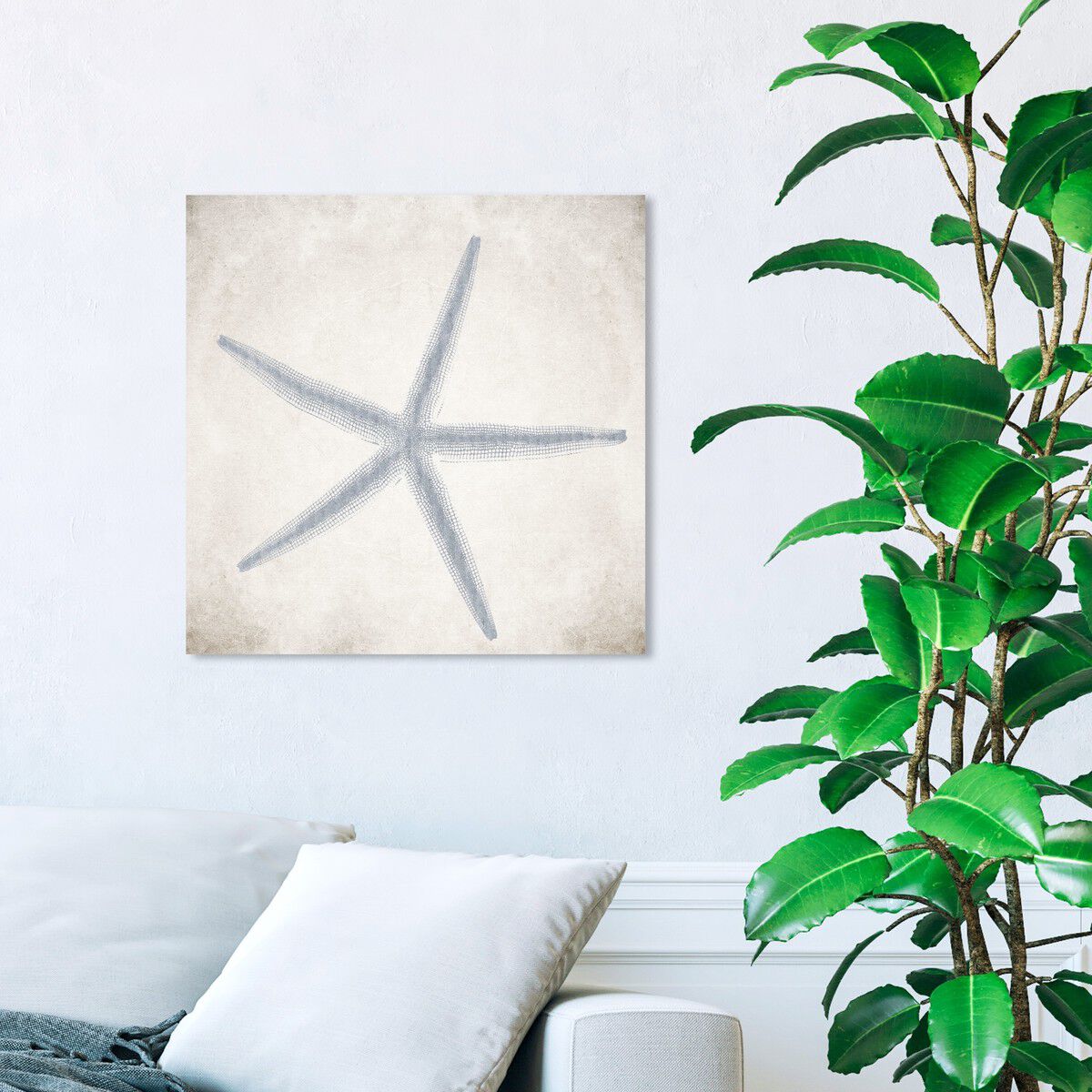 40x40/Canvas/XHD