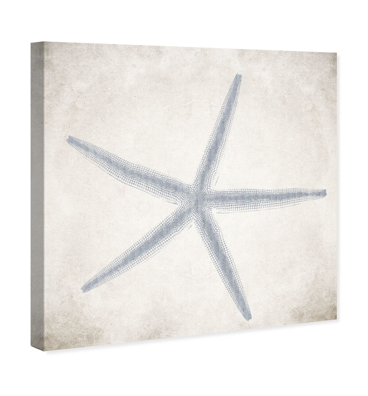 40x40/Canvas/XHD